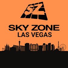 A black and white image of the sky zone logo.